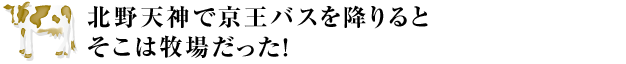 “北野天神で京王バスを降りるとそこは牧場だった！