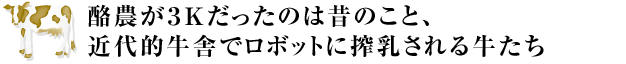 酪農が３Kだったのは昔のこと、近代的牛舎でロボットに搾乳される牛たち