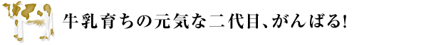 牛乳育ちの元気な二代目、がんばる！