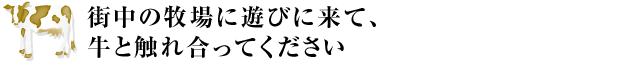 街中の牧場に遊びに来て、牛と触れ合ってください