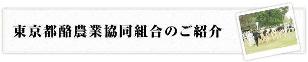 東京都酪農業協同組合の紹介