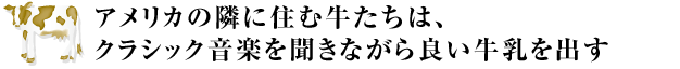 AJׂ̗ɏZދ́ANVbNy𕷂Ȃǂo